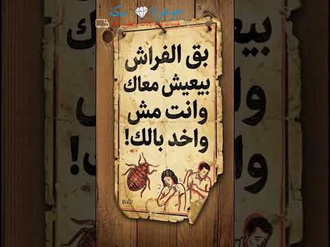 فيديو: حشرة بق الفراش وخطورتها على الإنسان