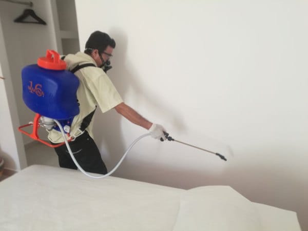 افضل شركة إبادة حشرات بمكه