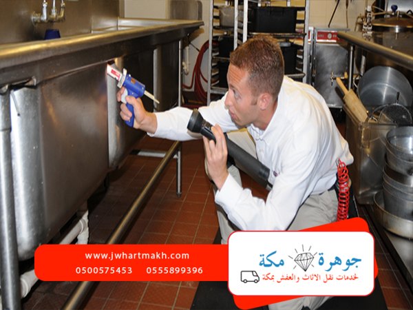 شركة مكافحة حشرات بمكه