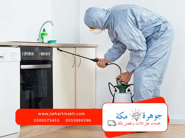 شركة مكافحة الحشرات بمكه