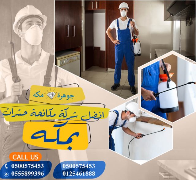 شركة رش مبيدات بفنادق بمكة