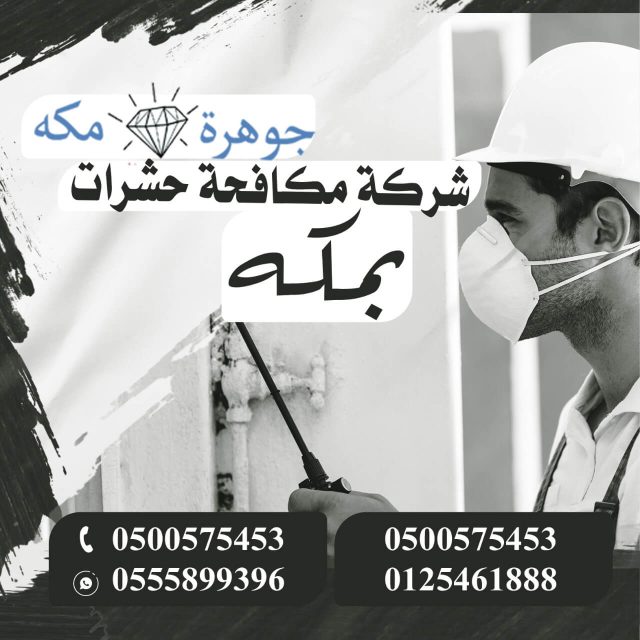 شركة رش مبيدات بمكة