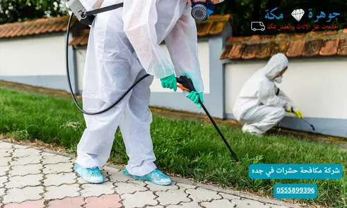 شركة مكافحة حشرات في جده