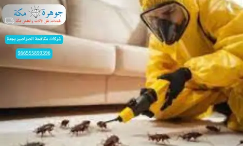 شركات مكافحة الصراصير بجدة