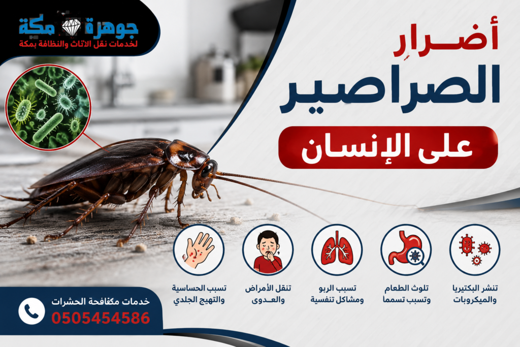 أضرار الصراصير على الإنسان