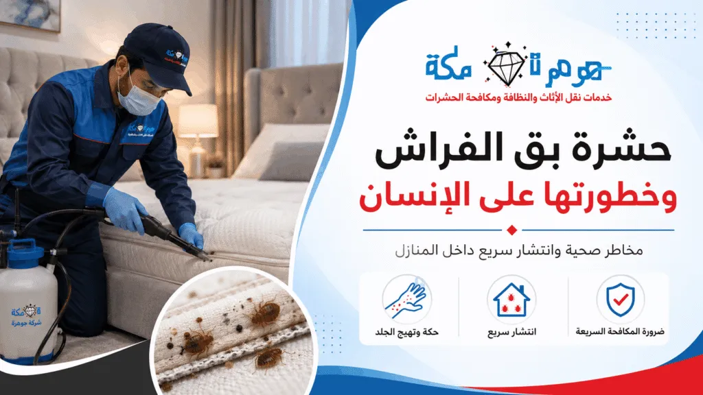 حشرة بق الفراش وخطورتها على الإنسان حشرة بق الفراش وخطورتها على الإنسان