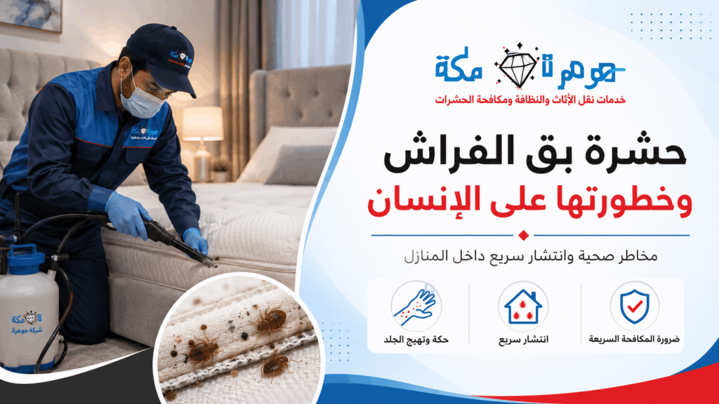 حشرة بق الفراش وخطورتها على الإنسان