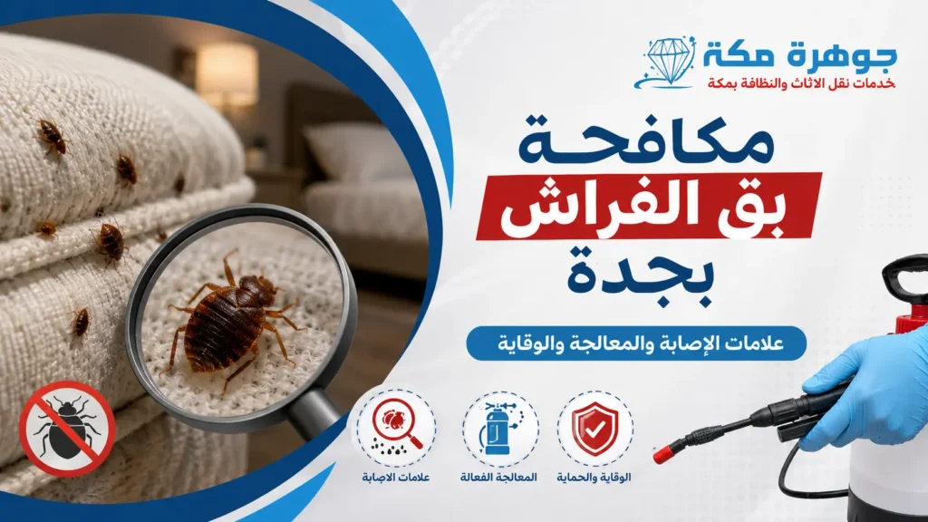 مكافحة بق الفراش بجدة علامات الإصابة والمعالجة والوقاية